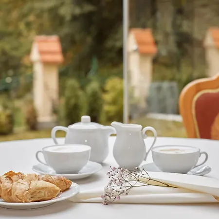 Hotel Ritter Karlovy Vary